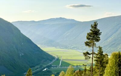 Jordskifteretten som verktøy for å løse konflikter og avklare rettigheter i fast eiendom